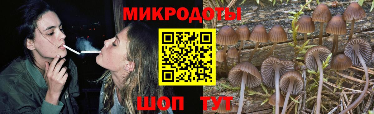 Нарьян-Мар  Галлюциногенные грибы Magic Shrooms  Вход с VPN  Галлюциногенные грибы Psilocybe 